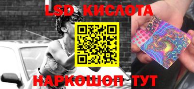 PSILOCYBIN Новокубанск