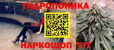 гашик Новозыбков