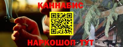 гашик Новозыбков