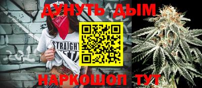 гашик Новозыбков
