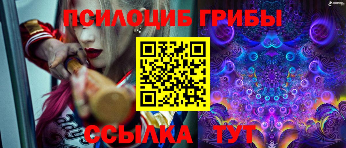 Галлюциногенные грибы мицелий Чернушка
