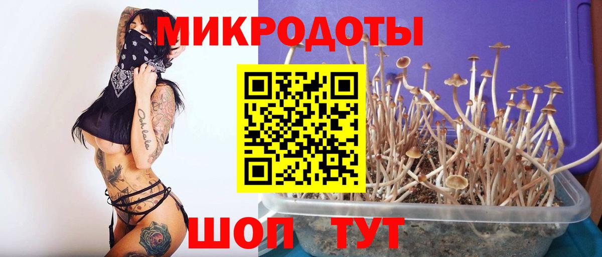 Галлюциногенные грибы мухоморы  Вход с VPN  Чернушка 