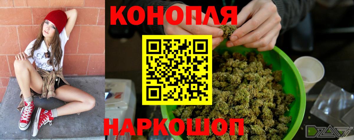 Марихуана сатива Чернушка